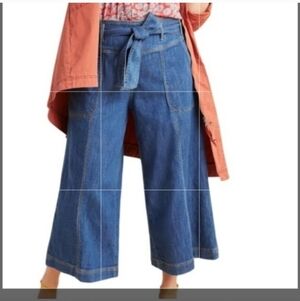 Anthro Pilcro Wide-Leg Cropped Jeans/12